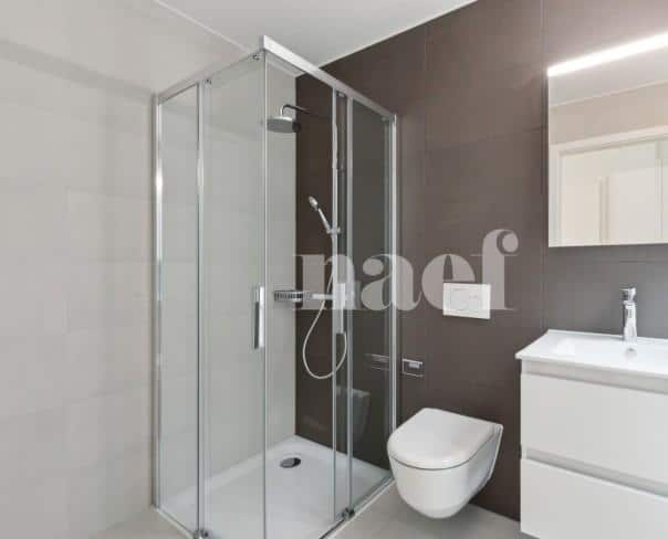 À louer : Maison 3.5 Pieces Neuchâtel - Ref : EC.38391 | Naef Immobilier