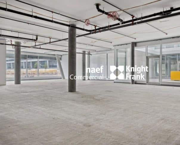 À louer : Surface Commerciale Arcade Plan-les-Ouates - Ref : EC.38450 | Naef Immobilier