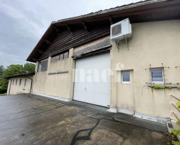 À louer : Dépôt Bursinel - Ref : EC.38604 | Naef Immobilier