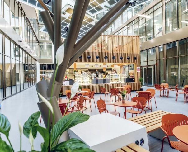 À louer : Surface Commerciale Arcade Plan-les-Ouates - Ref : EC.39883 | Naef Immobilier