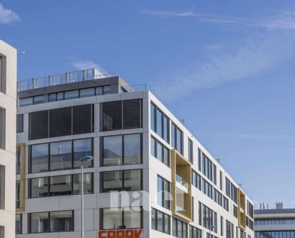 À louer : Surface Commerciale Atelier Plan-les-Ouates - Ref : EC.39892 | Naef Immobilier