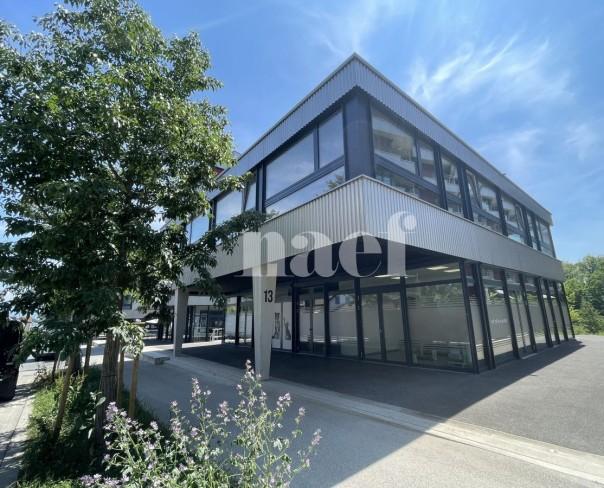 À louer : Surface Commerciale Bureau Gland - Ref : EC.40289 | Naef Immobilier