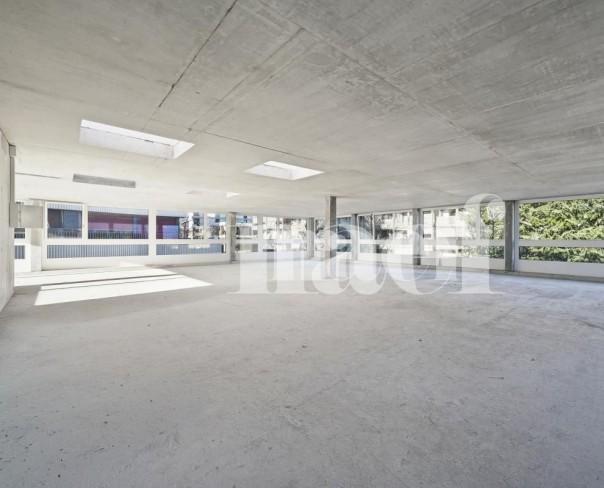 À louer : Surface Commerciale Bureau Gland - Ref : EC.40289 | Naef Immobilier