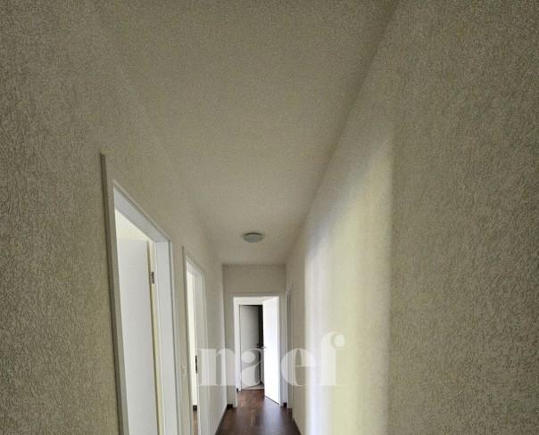 À louer : Appartement 5 Pieces Petit-Saconnex - Ref : EC.40660 | Naef Immobilier