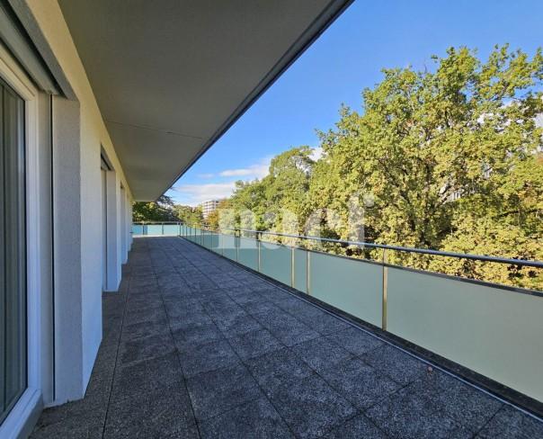 À louer : Appartement 5 Pieces Petit-Saconnex - Ref : EC.40660 | Naef Immobilier