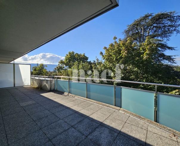 À louer : Appartement 5 Pieces Petit-Saconnex - Ref : EC.40660 | Naef Immobilier