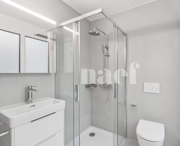 À louer : Maison 4.5 Pieces Neuchâtel - Ref : EC.40955 | Naef Immobilier