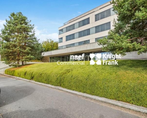 À louer : Surface Commerciale Bureau Lausanne - Ref : EC.41192 | Naef Immobilier