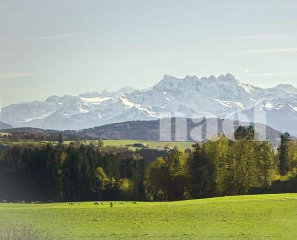 À louer : Appartement 4.5 Pieces Mossel (Ursy) - Ref : EC.41276 | Naef Immobilier