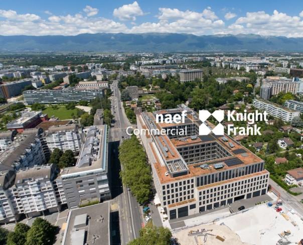 À louer : Surface Commerciale Bureau Genève - Ref : EC.41464 | Naef Immobilier