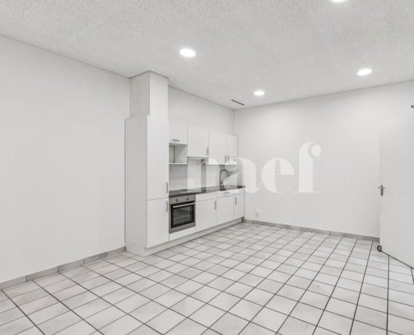 À louer : Surface Commerciale Atelier Marin Epagnier - Ref : EC.42113 | Naef Immobilier