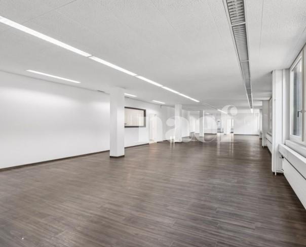 À louer : Surface Commerciale Atelier Marin Epagnier - Ref : EC.42113 | Naef Immobilier