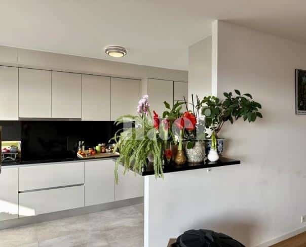 À louer : Appartement 5 Pieces Genève - Ref : EC.42167 | Naef Immobilier