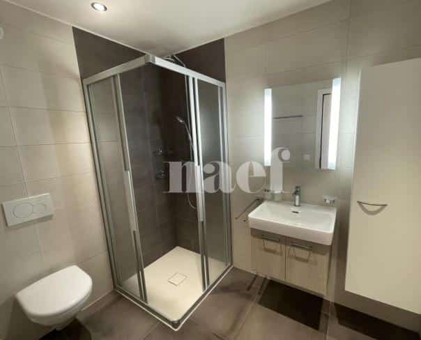 À louer : Appartement 2.5 Pieces Nyon - Ref : EC.42506 | Naef Immobilier
