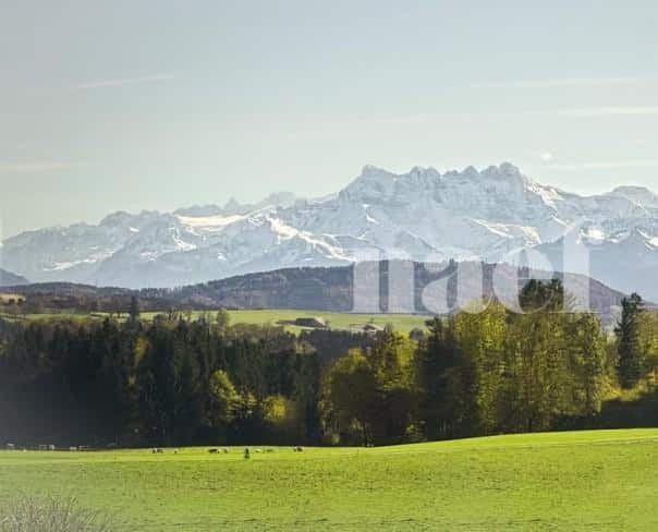 À louer : Appartement 4.5 Pieces Mossel (Ursy) - Ref : EC.42802 | Naef Immobilier