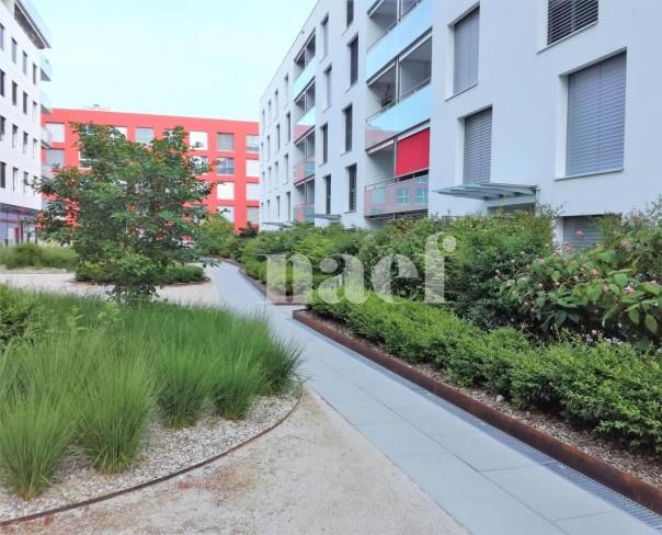 À louer : Appartement 2.5 Pieces Nyon - Ref : EC.45087 | Naef Immobilier
