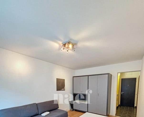 À louer : Appartement 1 Pieces Lausanne - Ref : EC.45136 | Naef Immobilier