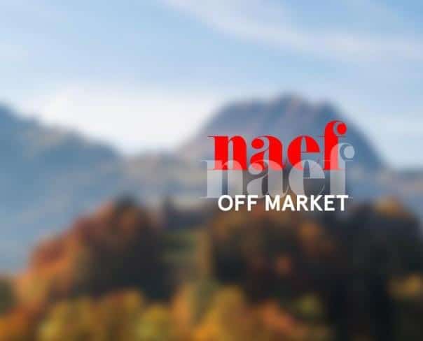 À louer : Surface Commerciale Arcade Bulle - Ref : EC.46175 | Naef Immobilier