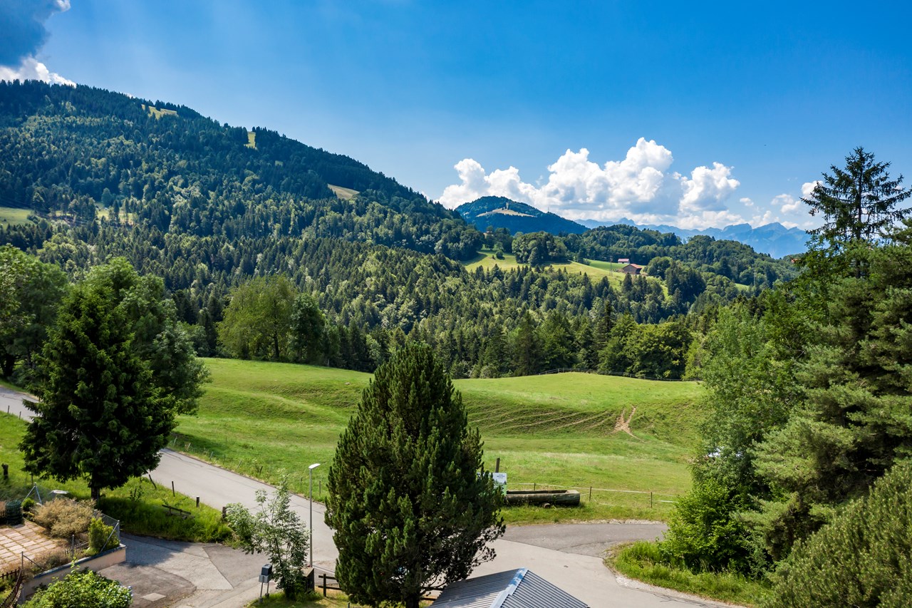 À vendre : Appartement 3 chambres Châtel-Saint-Denis - Ref : 1038 | Naef Immobilier