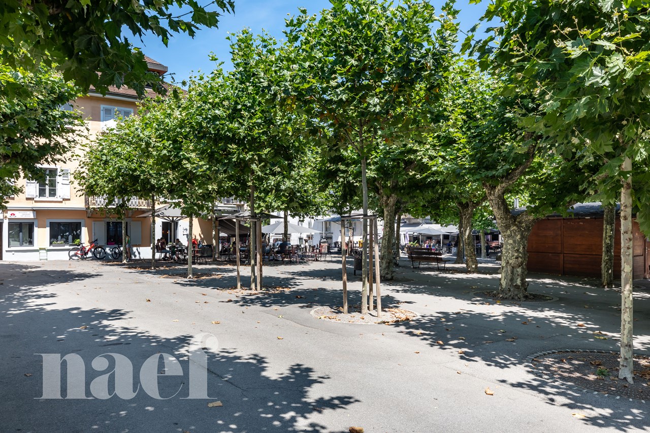 À vendre : Bien de rendement mixte Monthey - Ref : 1587 | Naef Immobilier