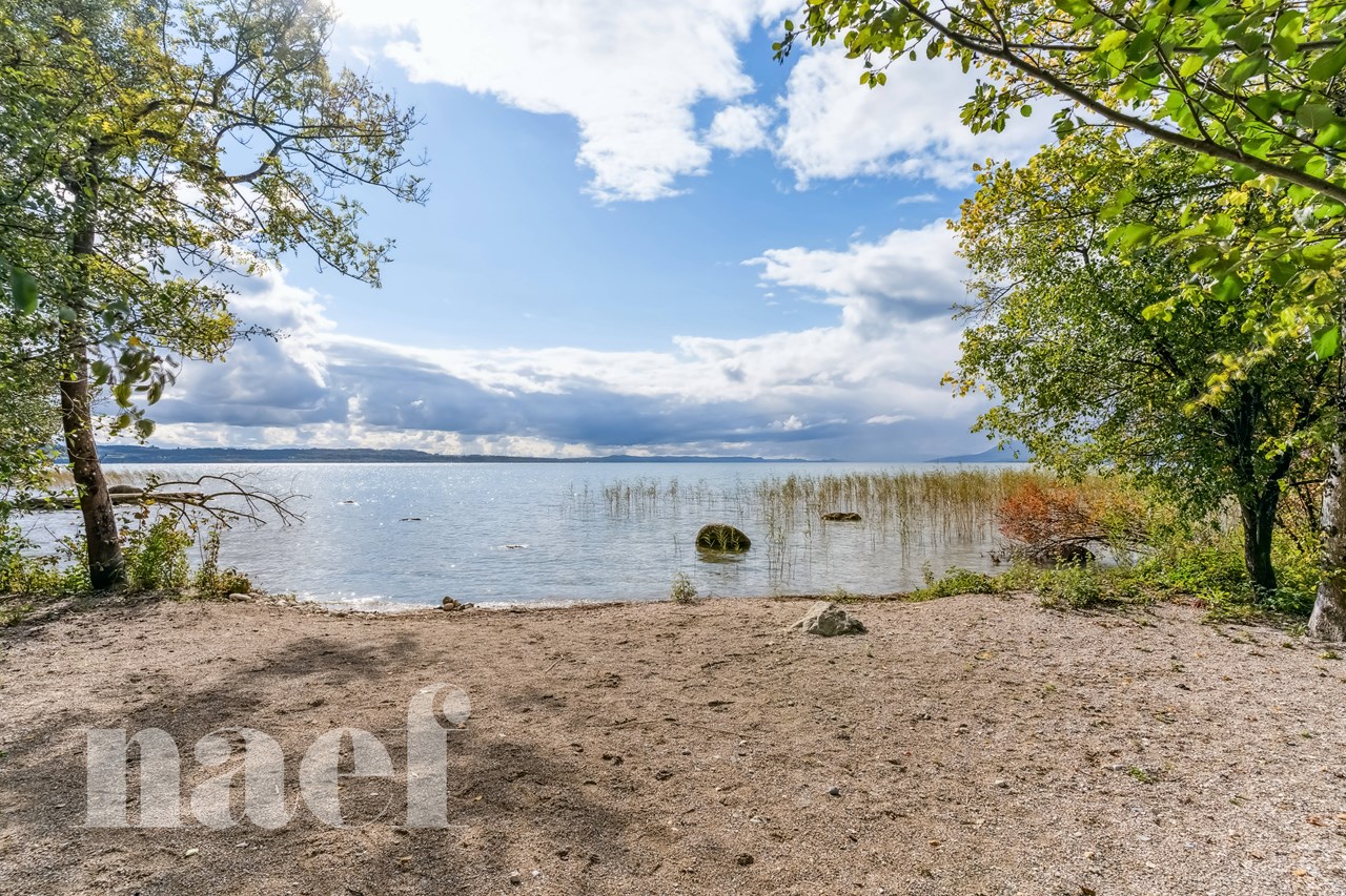 À vendre : Appartement 1 chambres Neuchâtel - Ref : 1983 | Naef Immobilier