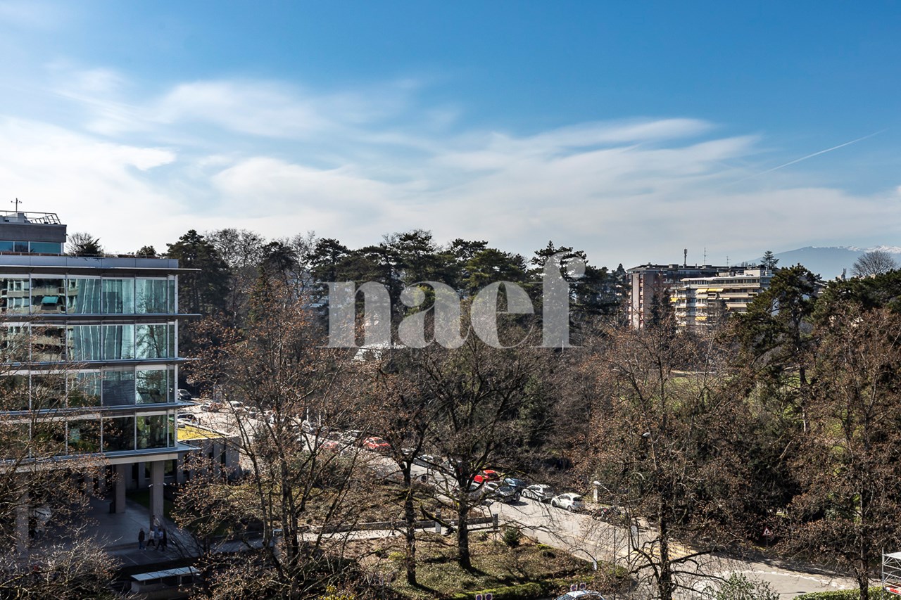 À vendre : Appartement 3 chambres Genève - Ref : 2075 | Naef Immobilier