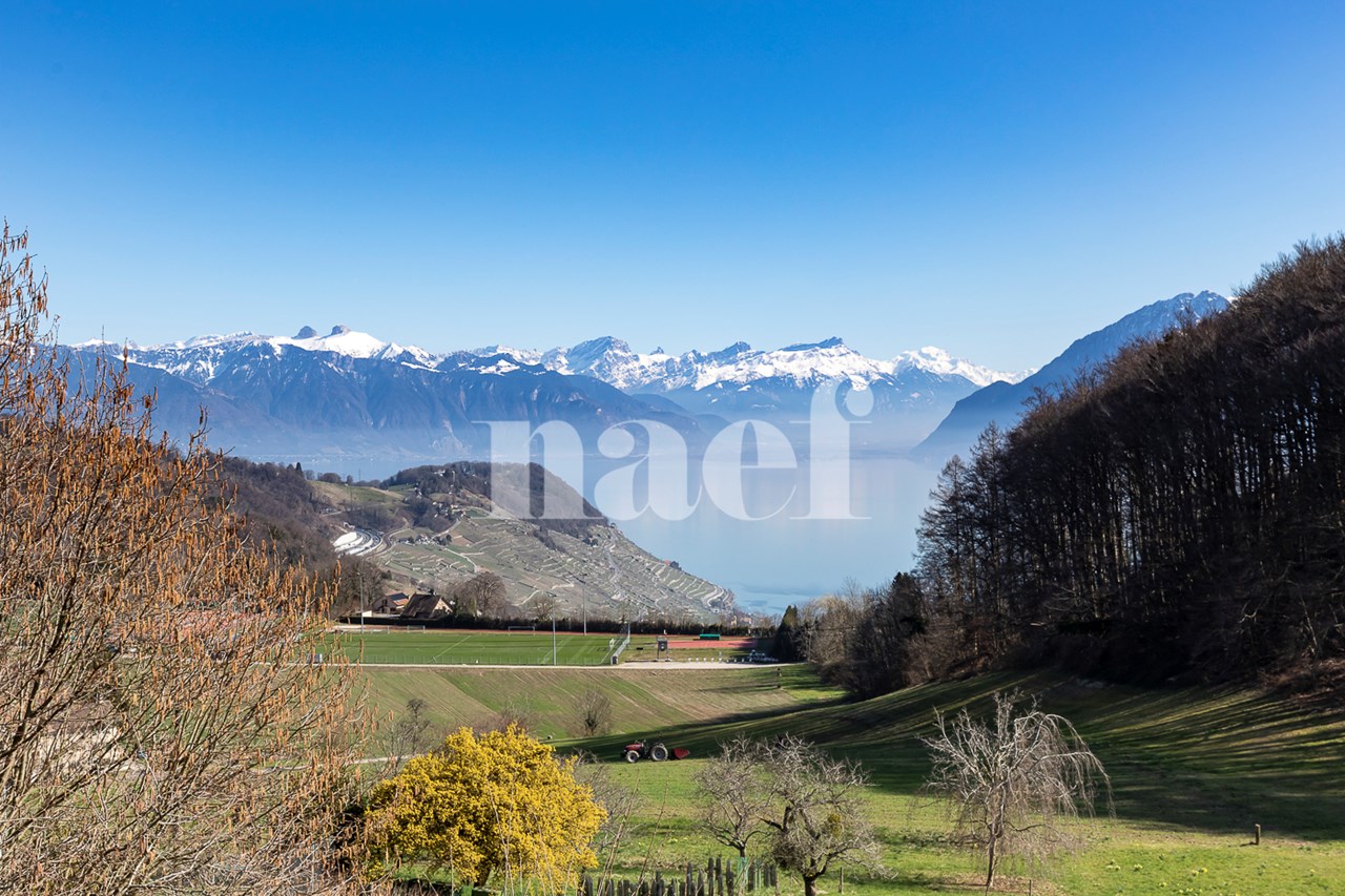 À vendre : Maison 4 chambres Grandvaux - Ref : 2113 | Naef Immobilier