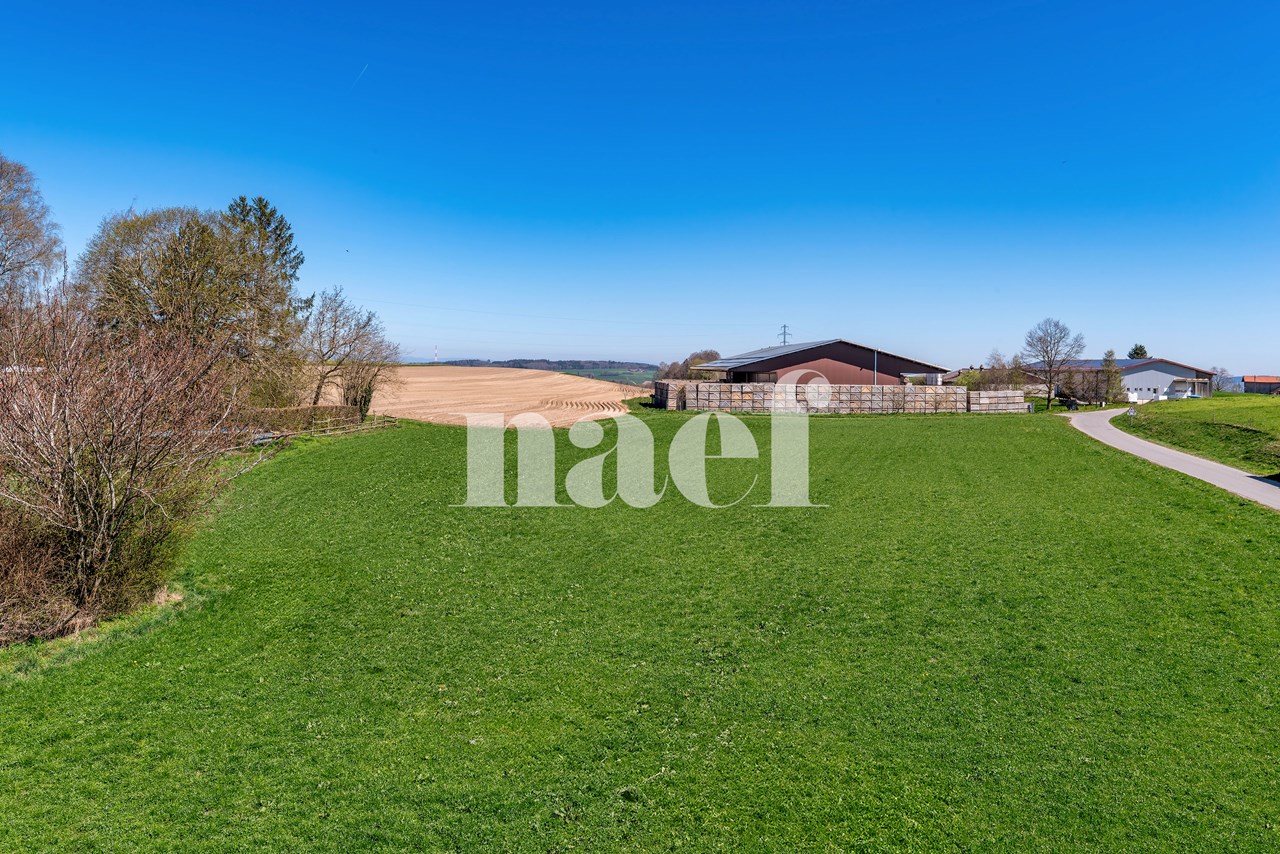 À vendre : Appartement 3 chambres Jorat-Menthue - Ref : 2160 | Naef Immobilier