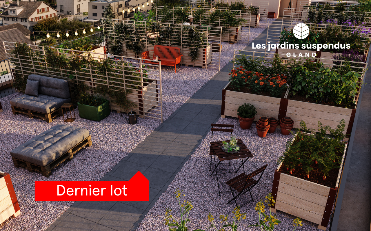 À vendre : Appartement 1 chambres Gland - Ref : 2167 | Naef Immobilier
