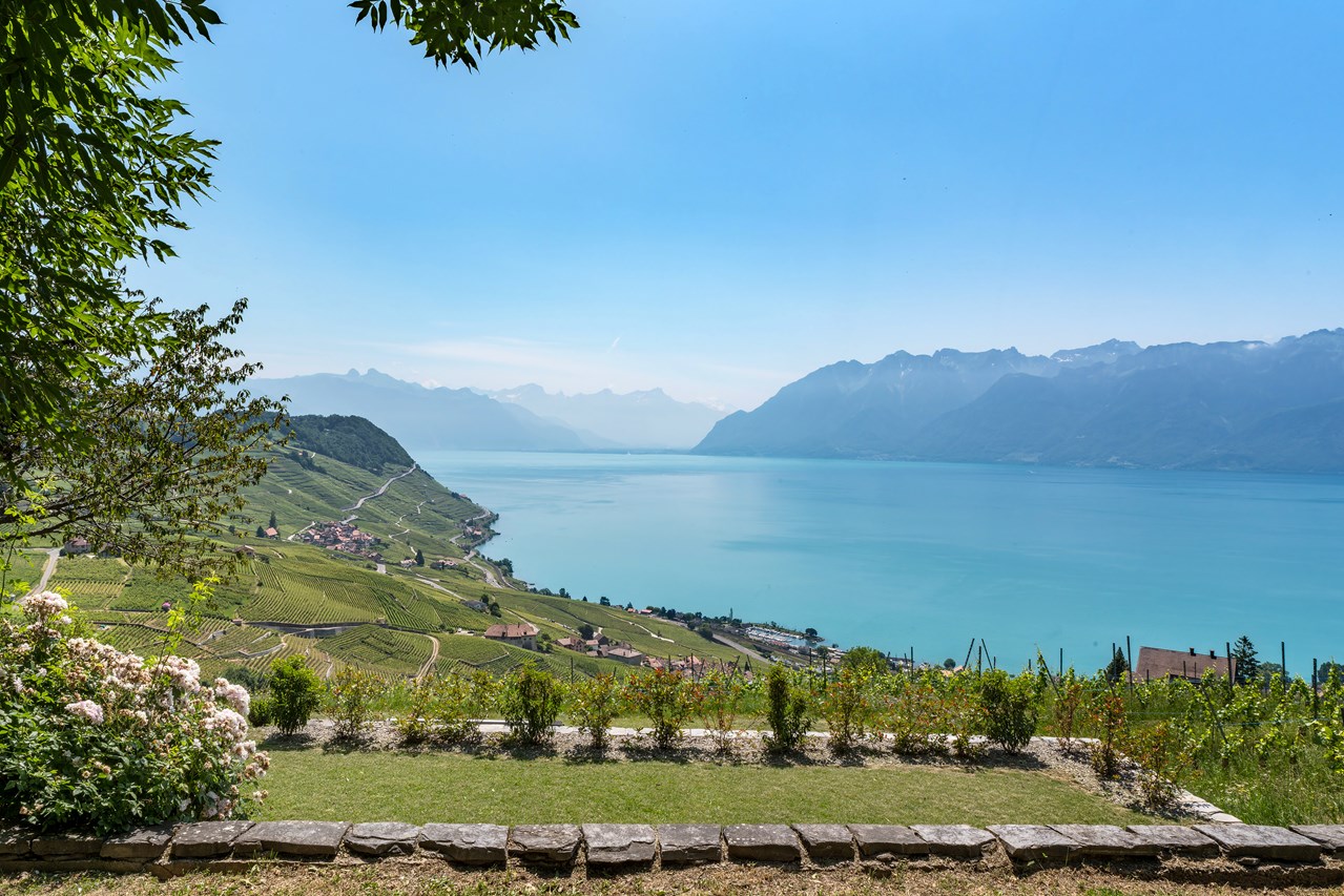 À vendre : Maison 3 chambres Bourg-en-Lavaux - Ref : 2293 | Naef Immobilier