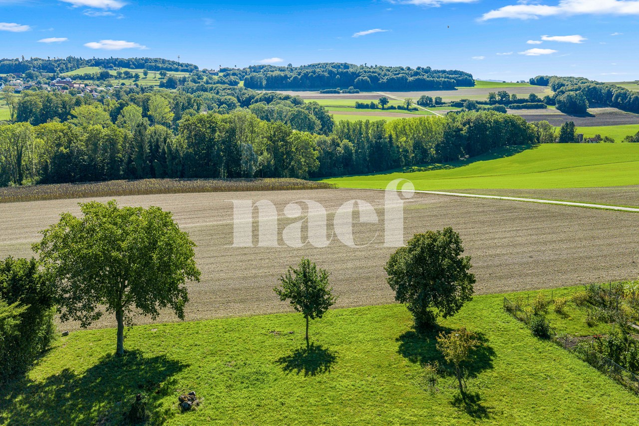 À vendre : Maison 2 chambres Murist - Ref : 2604 | Naef Immobilier