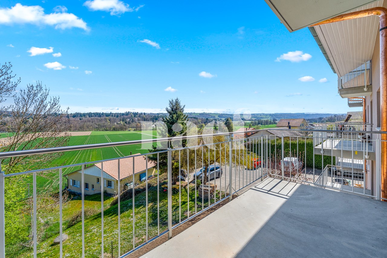 À vendre : Appartement 3 chambres Fétigny - Ref : 2709 | Naef Immobilier