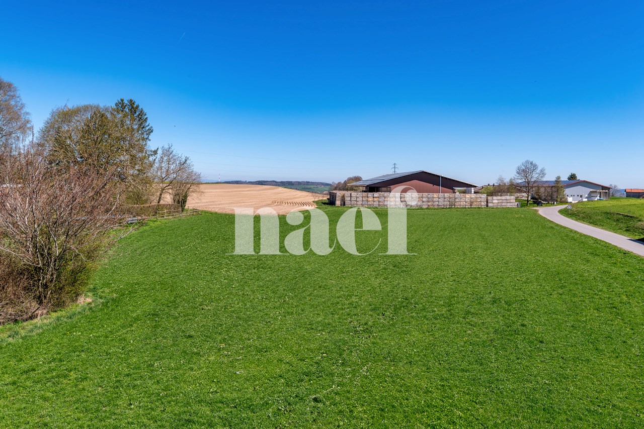 À vendre : Appartement 4 chambres Epalinges - Ref : 2734 | Naef Immobilier