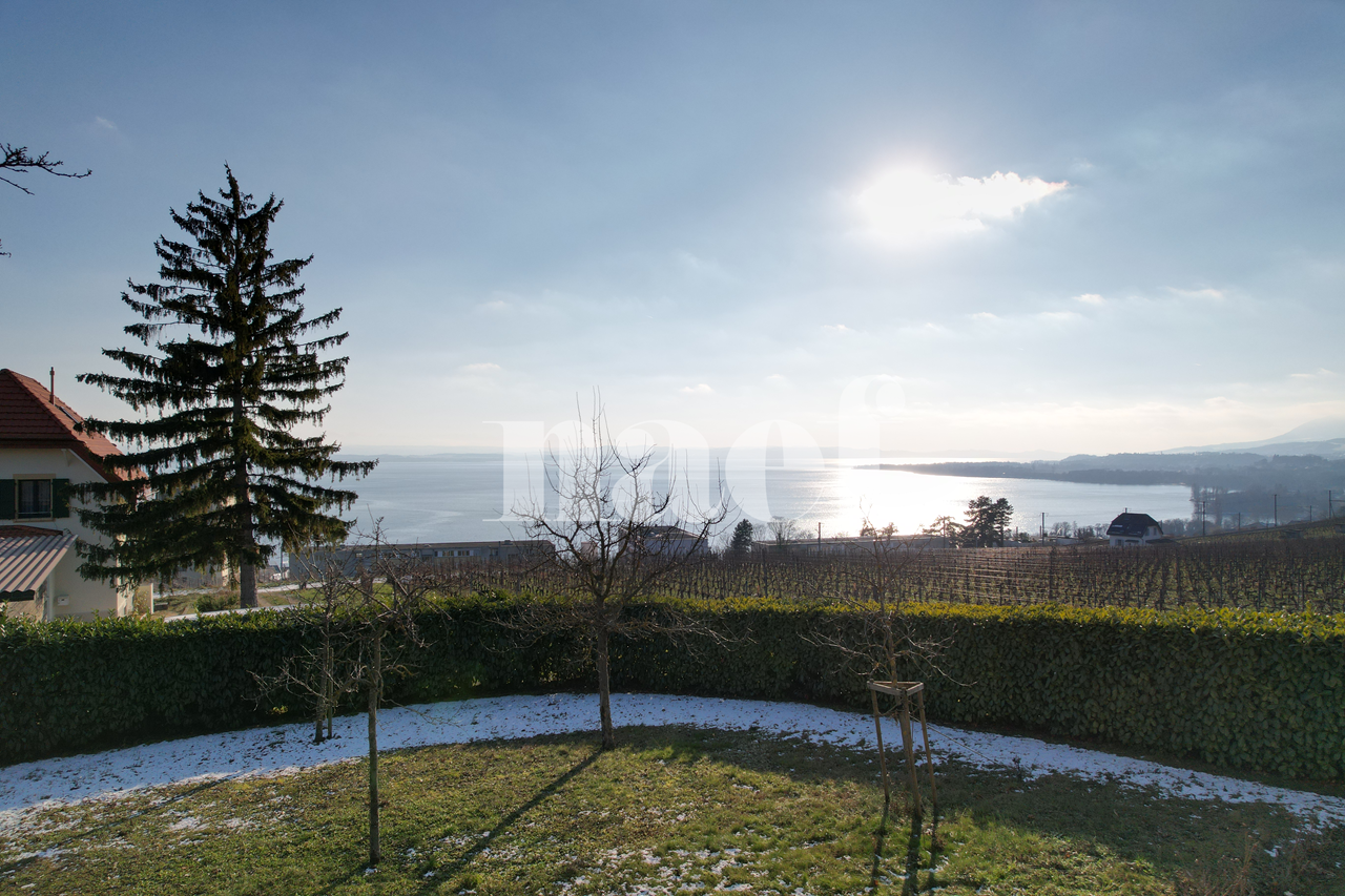 À vendre : Terrain Neuchâtel - Ref : 2887 | Naef Immobilier