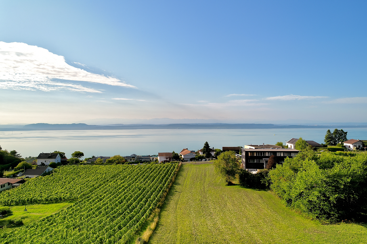 À vendre : Maison 3 chambres Laténa - Ref : 2997 | Naef Immobilier