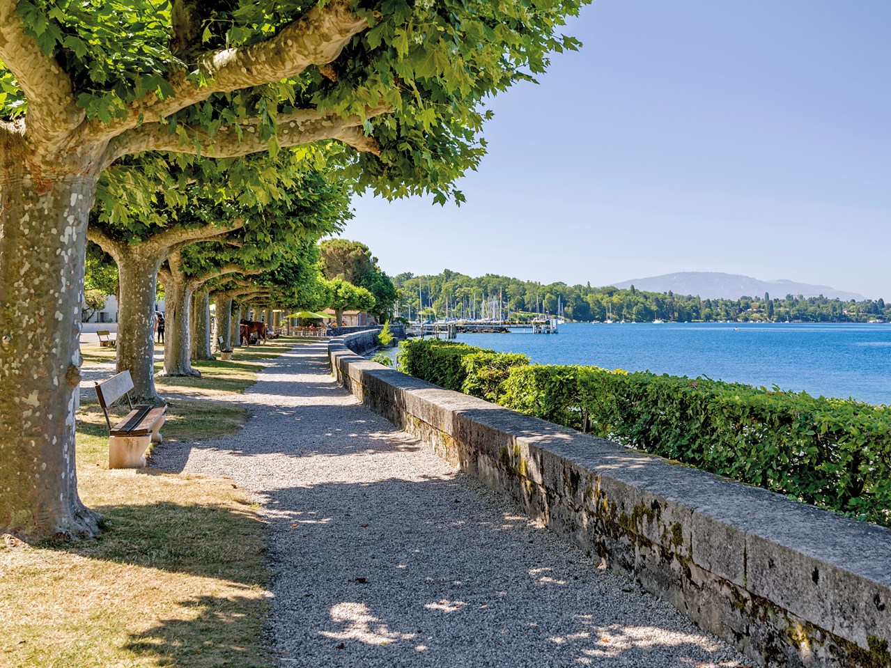 À vendre : Appartement 1 chambres Hermance - Ref : 3159 | Naef Immobilier