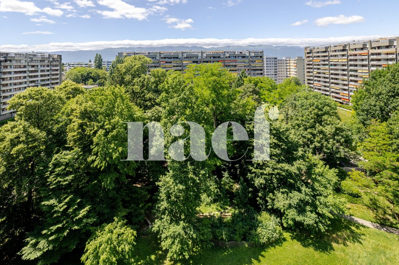 À vendre : Appartement 1 chambres Genève - Ref : 3321 | Naef Immobilier