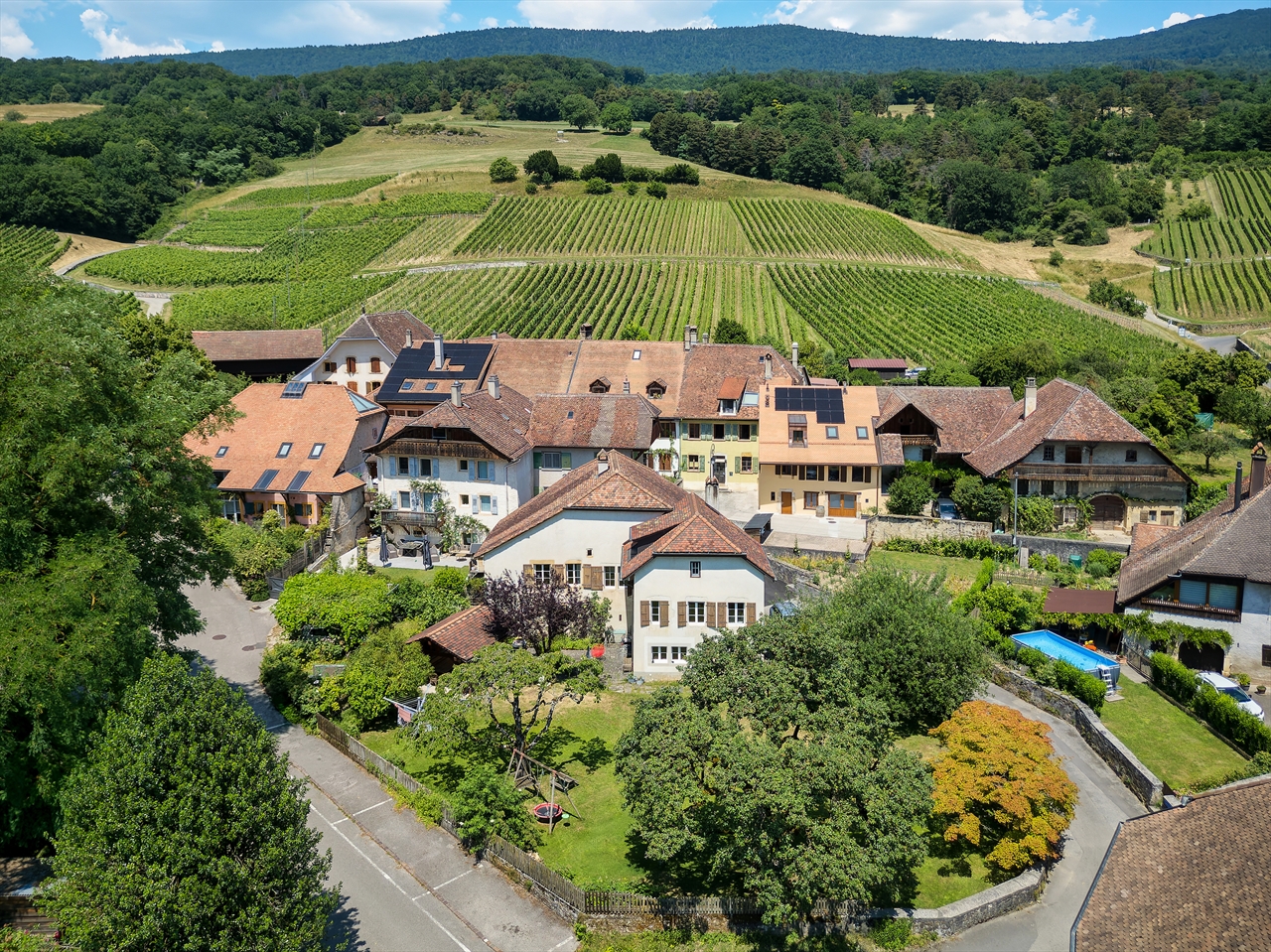 À vendre : Maison 4 chambres Bonvillars - Ref : 3363 | Naef Immobilier