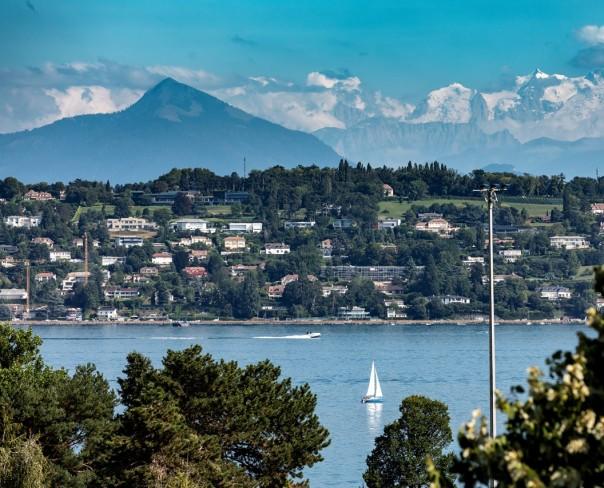 À vendre : Appartement 3 chambres Pregny-Chambésy - Ref : 0796 | Naef Immobilier