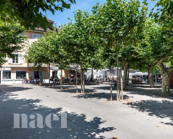 À vendre : Bien de rendement mixte Monthey - Ref : 1587 | Naef Immobilier