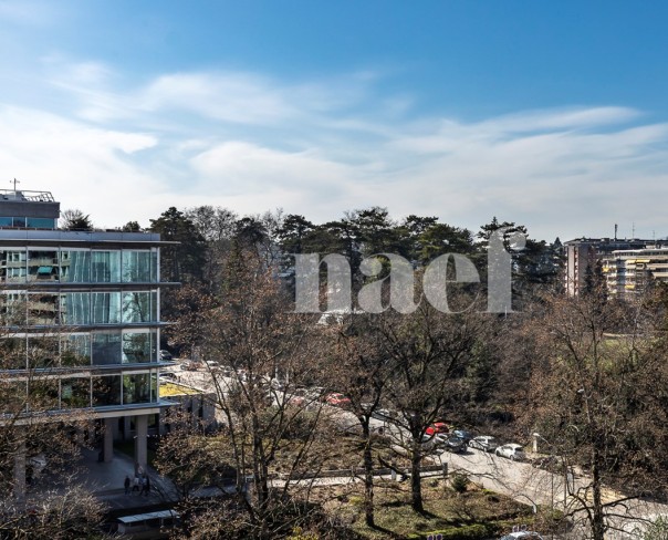 À vendre : Appartement 3 chambres Genève - Ref : 2075 | Naef Immobilier