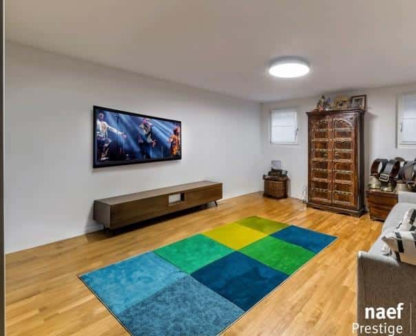 À vendre : Maison 5 chambres Blonay - Ref : 2110 | Naef Immobilier