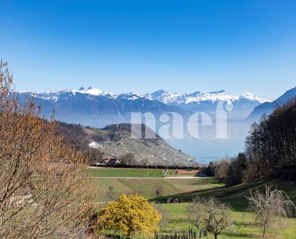 À vendre : Maison 4 chambres Grandvaux - Ref : 2113 | Naef Immobilier