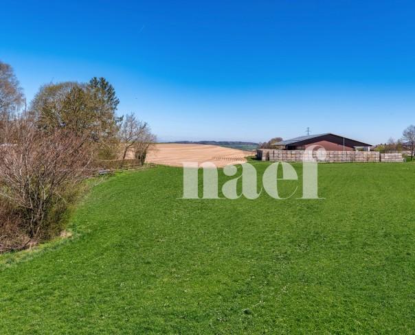 À vendre : Appartement 3 chambres Jorat-Menthue - Ref : 2160 | Naef Immobilier