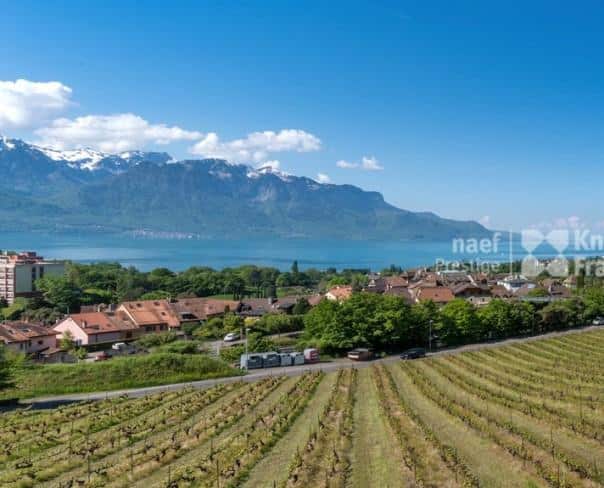 À vendre : Maison 5 chambres Montreux - Ref : 2195 | Naef Immobilier