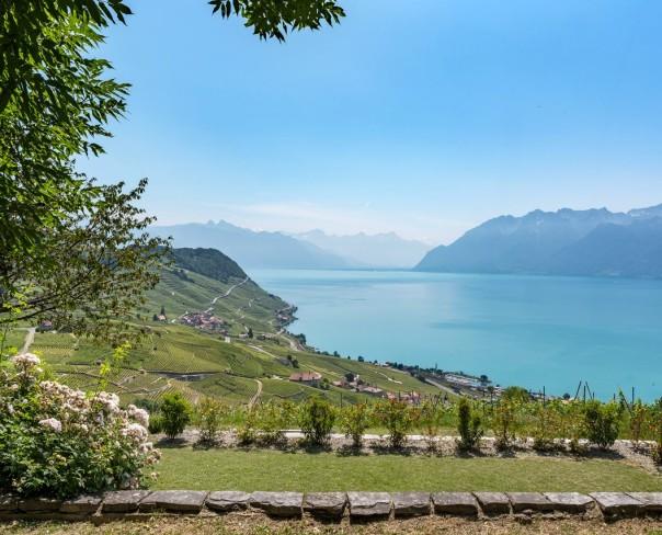 À vendre : Maison 3 chambres Bourg-en-Lavaux - Ref : 2293 | Naef Immobilier