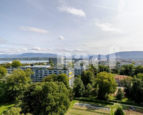 À vendre : Appartement 2 chambres Genève - Ref : 2620 | Naef Immobilier