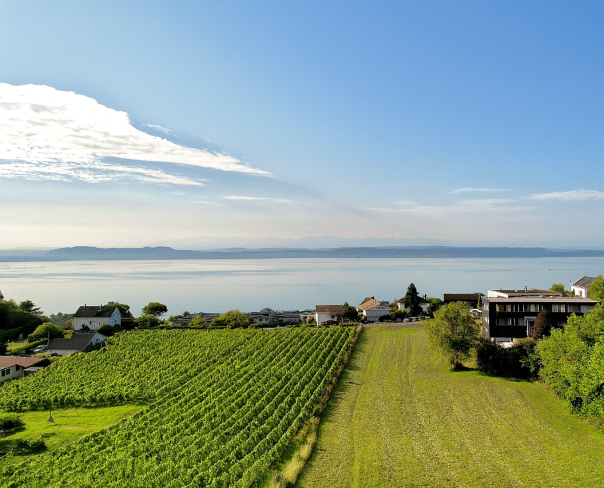 À vendre : Maison 3 chambres Laténa - Ref : 2996 | Naef Immobilier