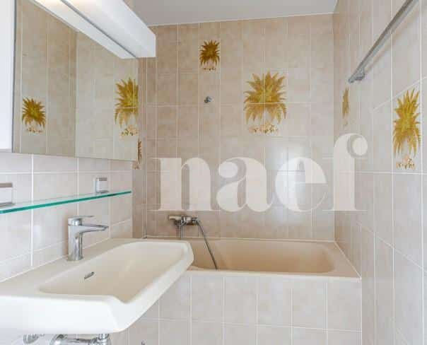 À vendre : Appartement 3 chambres Meyrin - Ref : 3144 | Naef Immobilier