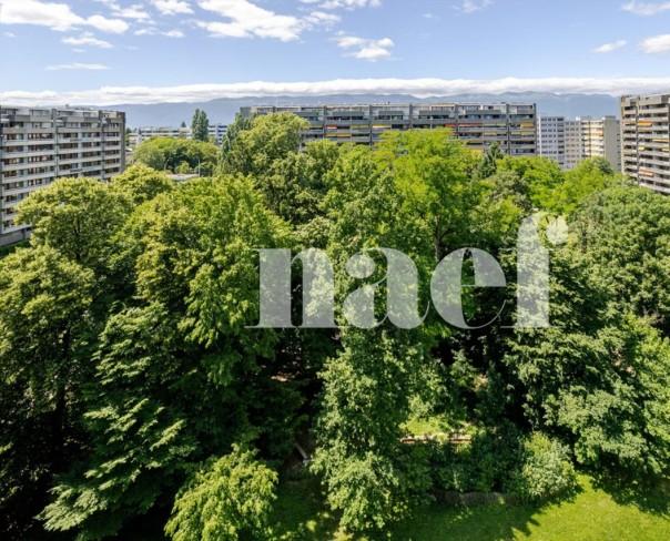 À vendre : Appartement 1 chambres Genève - Ref : 3321 | Naef Immobilier